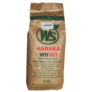 WS Haraka WH101 Maize Seeds