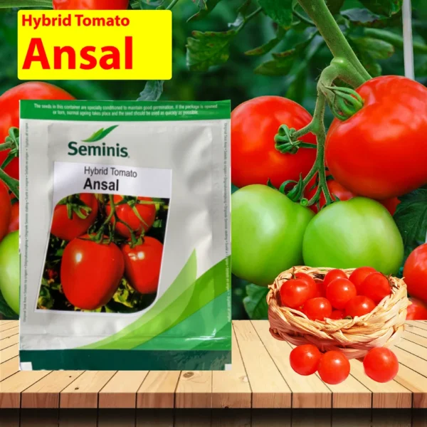 Ansal F1 Tomato seeds