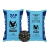 Falcon DAP 50kg AgriJibu