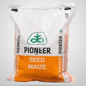Pioneer 30G19 Maize Seed 2kg AgriJibu