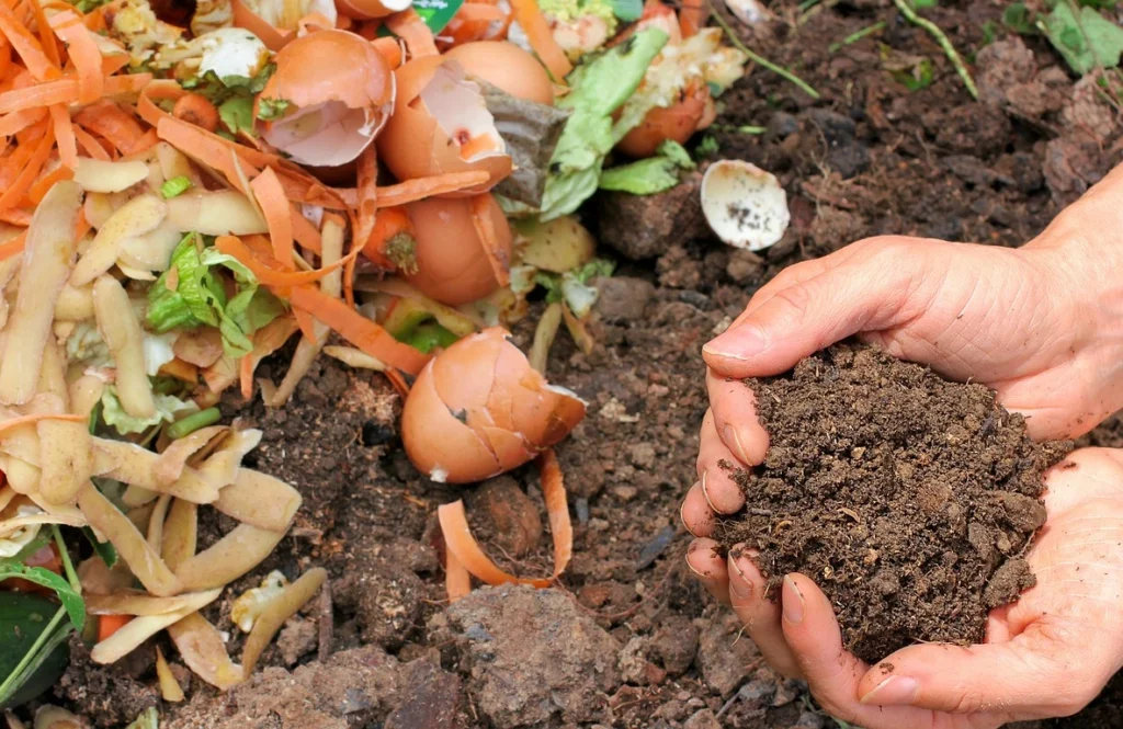 kitchen-waste-and-compost