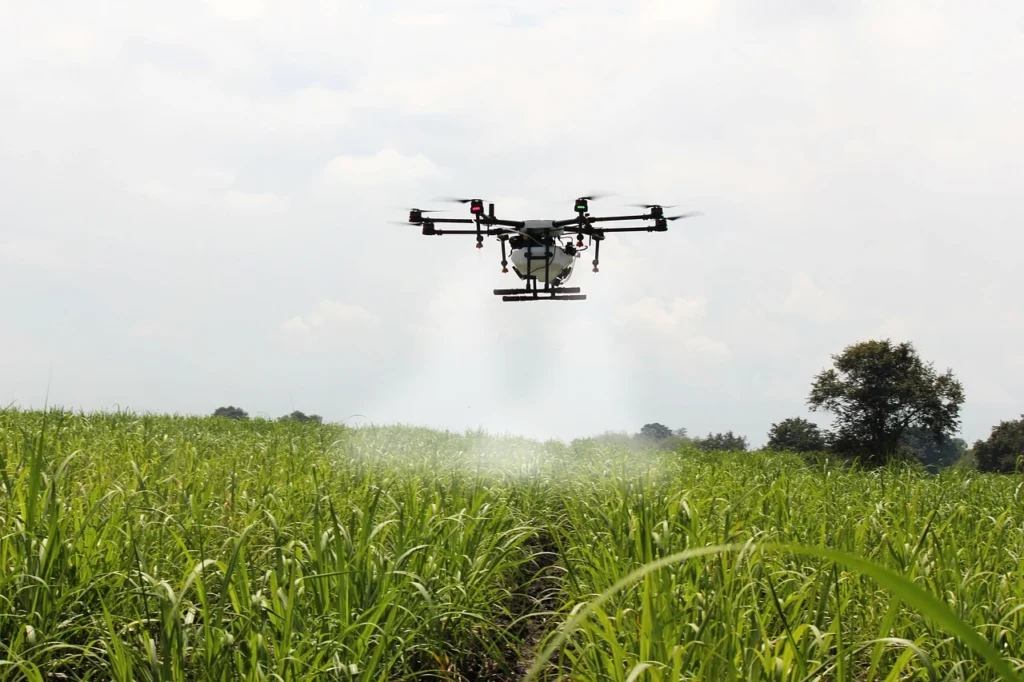 spraying-sugar-cane-plantation