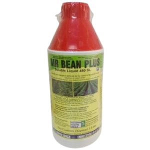 Mr Bean Plus 1L pack