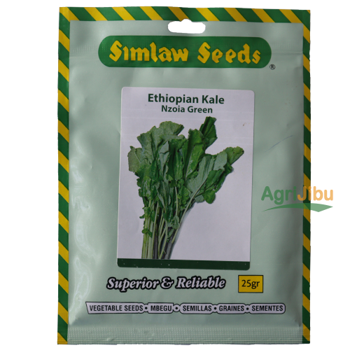 Ethiopian Kale (Kanzera) 1 Simlaw Ethiopian Kale 25g