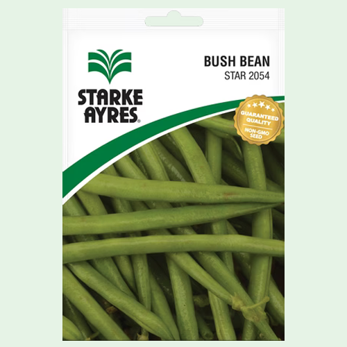 French Bean Star 2054 1 Starke Aryes French bean 2054 seeds pack