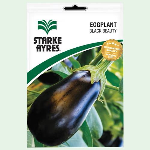 Eggplant Black Beauty Starke Ayres 1 Starke Ayres Eggplant Black Beauty seeds pack