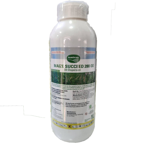 Maize Succeed 280 OD