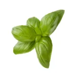 Basil Seeds