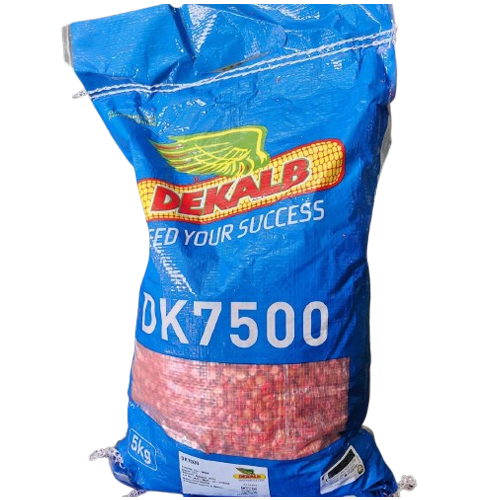 DK-7500 Hybrid Yellow Maize