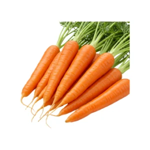 Carrot