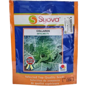 Collards Mfalme F1 Seeds pack