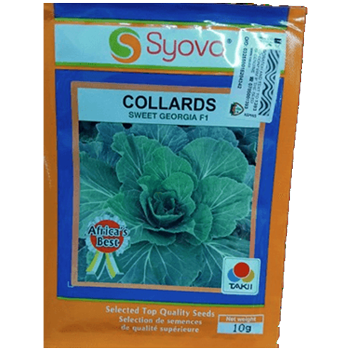Collards Sweet Georgia F1