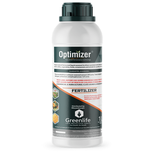 Optimizer
