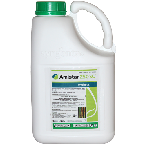 Amistar 250 SC 5L