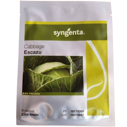 Escazu F1 Cabbage