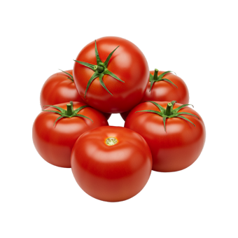 Tomato | AgriJibu