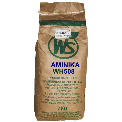 Aminika WH508 Maize Seeds 2kg