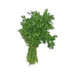 Parsley Seeds