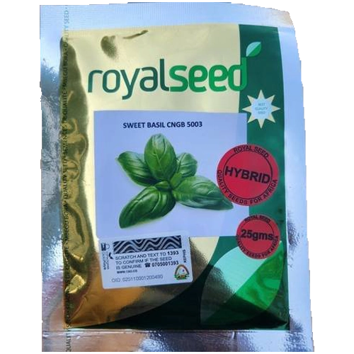 Sweet Basil CN GB 50003 F1 Seeds