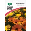 Starke Ayres African Daisy pack