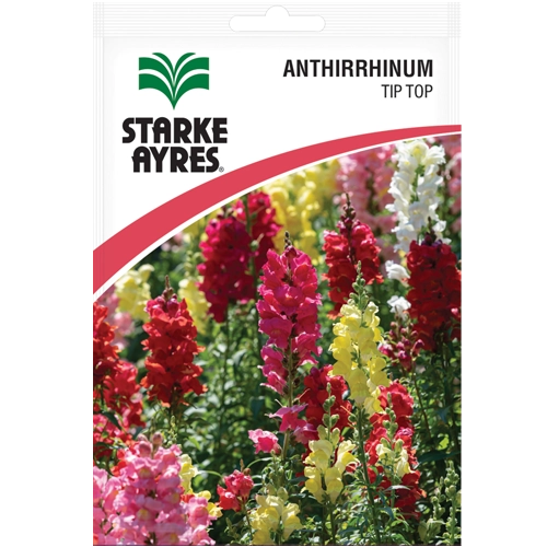 Antirrhinum Tip Top Seeds