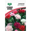 Carnation Giant Chaubaud seeds