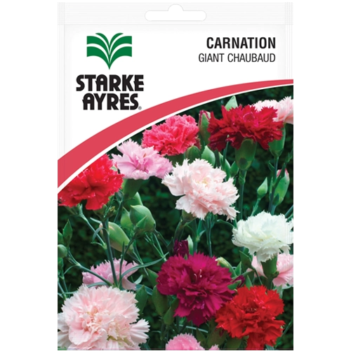 Carnation Giant Chaubaud Seeds