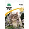 Starke Ayres Catnip Seeds