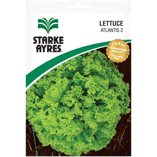 Atlantis 2 Lettuce Seeds