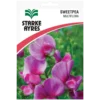 Sweetpea Multiflora Flower seeds pack