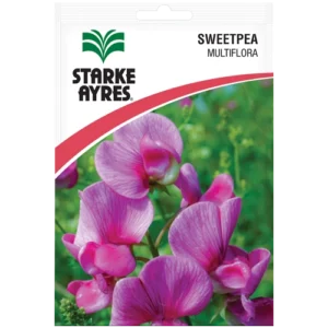Sweetpea Multiflora Flower seeds pack
