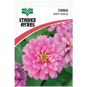 Zinnia Giant Dahlia Seeds