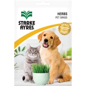 Pet Grass Seeds