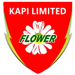 KAPI Limited